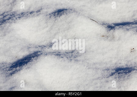 Snow-covered surface Stock Photo