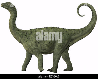 Saltasaurus Juvenile Stock Photo