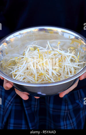 Close up of fresh mung bean sprouts in stainless steel bowl Stock Photo