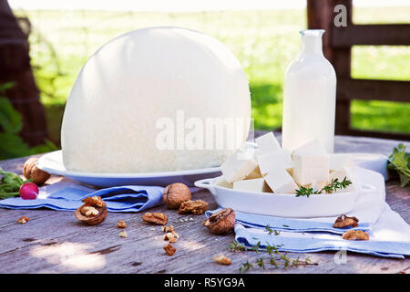 Traditional goat cheese still life. Stock Photo
