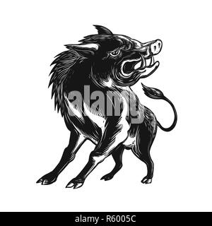 Angry Wild Hog Razorback Scratchboard Stock Photo