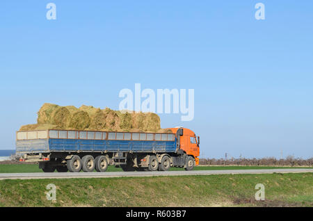 Truck carrying hay in his body. Making hay for the winter. Stock Photo