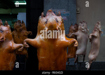 Pigs being roasted at a Chinese restaurant. In Hat Yai, Thailand. Stock Photo