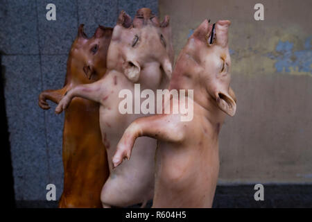 Pigs being roasted at a Chinese restaurant. In Hat Yai, Thailand. Stock Photo