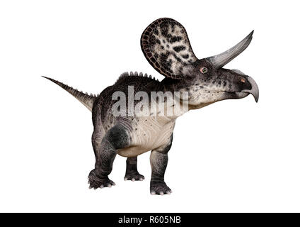 3D Rendering Dinosaur Zuniceratops on White Stock Photo