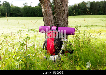 Travel backpack by the tree. Outdoor wanderlust items. Travel, tourism and camping equipment. Summer active hiking and trekking tools. Stock Photo