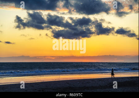 young woman is walking along the beach at sunset Stock Photo
