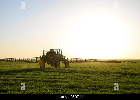 Tractor on the sunset background. Tractor with high wheels is making fertilizer on young wheat. The use of finely dispersed spray chemicals Stock Photo