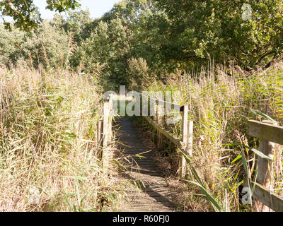 wooden countryside nature reserve crossing bridge floor Stock Photo