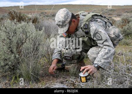 U.S. Army 1st Lt. Josiah Duka, 752nd Ordnance Company (EOD), 79th Ordnance Battalion (EOD), 71st Ordnance Group (EOD), catches ants during a Survival, Evasion, Resistance, and Escape class at the Yakima Training Center, Yakima, Wash., April 25, 2017. Soldiers from 20th CBRNE Command's survival training focused on the five basic needs for desert conditions. Stock Photo
