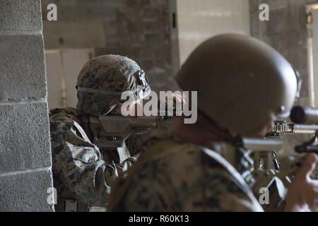 U.S. Marines with 2d Reconnaissance (Recon) Battalion, 2d Marine ...