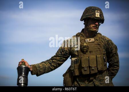 U.S. Marine Cpl. Kyle Campbell, a heavy equipment operator with Black Sea Rotational Force 17.1, prepares to fire an 81mm mortar at a live-fire range during Exercise Platinum Eagle 17.2, at Babadag Training Area, Romania, April 27, 2017. Marines from different job fields participated in a live-fire mortar range to gain experience in Marine Corps weapons systems. NATO Allies and partner nations stand together to ensure a Europe that is whole, free, at peace and prosperous. Stock Photo