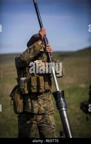 U.S. Marine Cpl. Kyle Campbell, a heavy equipment operator with Black Sea Rotational Force 17.1, swabs the bore of an 81mm mortar at a live-fire range during Exercise Platinum Eagle 17.2, at Babadag Training Area, Romania, April 27, 2017. Marines from non-infantry backgrounds participated in a live-fire mortar range to become familiarized with more Marine Corps weapons systems. A rotational U.S. presence in the Black Sea region significantly increases the level of cooperation between militaries in training activities and exercises through which they develop military capabilities and interopera Stock Photo