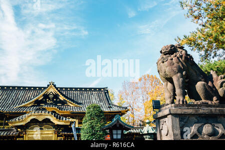 Toshogu shrine with autumn maple at Ueno park in Tokyo, Japan Stock Photo