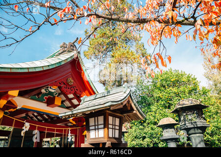 Toshogu shrine with autumn maple at Ueno park in Tokyo, Japan Stock Photo