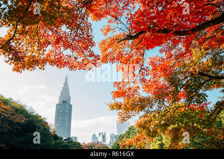 Shinjuku Gyoen park at autumn in Tokyo, Japan Stock Photo