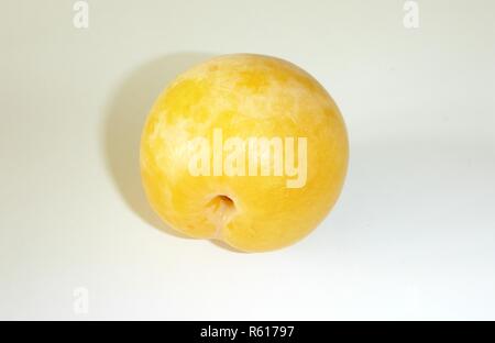 yellow plum Stock Photo