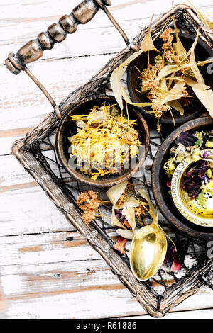 Assorted dried medical herbs.Set healing herbs. Homeopathy medicine Stock Photo
