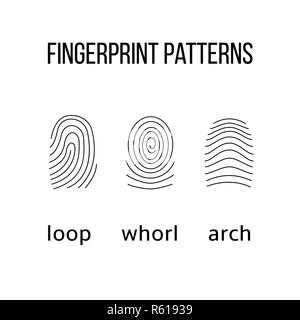 Three fingerprint types on white background. Stock Photo