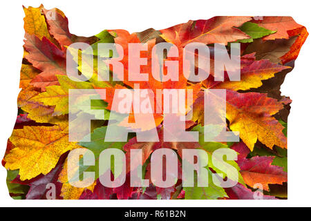 Oregon Maple Leaves Mixed Fall Colors Text USA America Stock Photo