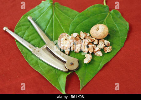 Betel nuts on betel leaf to make paan on red background Stock Photo