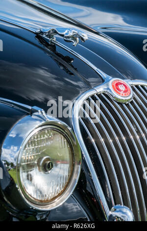 Jaguar XK 150 hood ornament. The Hardy Country Classic Car Tour Stock ...