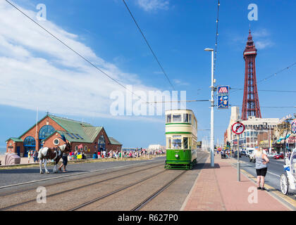 Blackpool tram heritage tram running along the Promenade in front of  Blackpool tower and lifeboat station Blackpool Lancashire England UK GB Europe Stock Photo