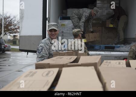 Master Sgt. Jared Gaskill, 4th Aircraft Maintenance Squadron first sergeant, helps unload donated turkeys Nov. 19, 2018, at Seymour Johnson Air Force Base, North Carolina. This marks the 10th year that the First Sergeants’ Council has worked with Butterball, a North Carolina-based company, to deliver turkeys to the Airmen and families of Seymour Johnson AFB. Stock Photo