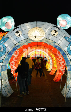 The annual North Carolina Chinese Lantern Festival held in the town of Cary, a suburb of Raleigh. Stock Photo