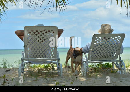 Portrait of happy elderly couple resting in chaise lounges at tropical beach Stock Photo