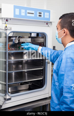 Young laboratory researcher introducing a petri dish into an incubator Stock Photo