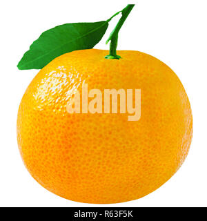 One whole mandarin isolated on white background Stock Photo