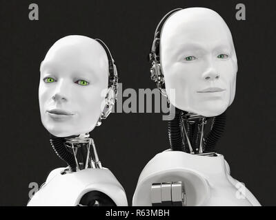 3D rendering of the heads of a female and male robot. Stock Photo