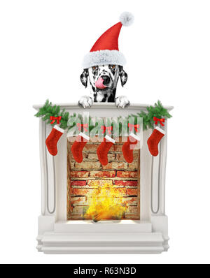 Dalmatian dog near fireplace. Isolated on white Stock Photo