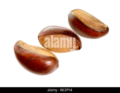 Three nuts Vitellaria paradoxa , commonly known as shea tree or shi tree, Karite. Isolated on white background. Stock Photo