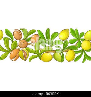 argan vector pattern on white background Stock Vector