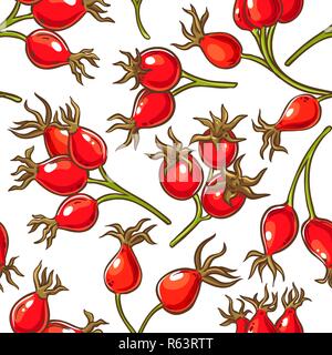dog rose berries vector pattern on white background Stock Vector