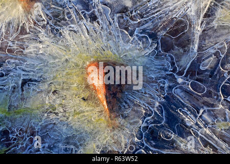 Ice Patterns in a frozen pond in Torridon Scotland Stock Photo