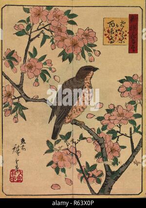 BLOSSOMS 永遠書館 Utagawa Hiroshige | Swallows and Wild Cherry | Japan | Edo