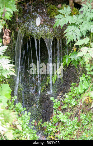 Bubbling Brook. close up of Water flowing in a small stream  Photographed in Stubaital, Tyrol, Austria Stock Photo