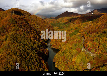 Road and a river in autumn forest. Aerial landscape of fall season by drone. Stock Photo