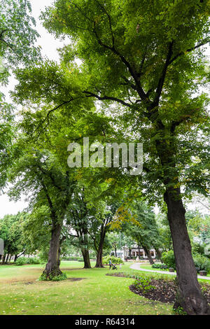 Vermanes darzs park in Riga Latvia Europe Stock Photo - Alamy