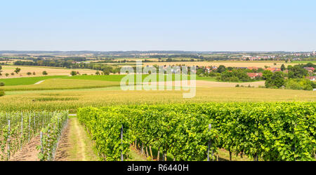 winegrowing scenery in hohenlohe Stock Photo