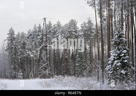 High-voltage line in the forest in one of the frosty days.  The trees are covered with heavy snow caps. Stock Photo