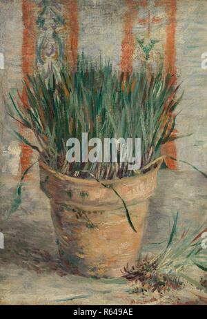 Flowerpot with Garlic Chives. Date: January-February 1887, Paris. Dimensions: 31.9 cm x 22.0 cm, 42.7 cm x 32.7 cm. Museum: Van Gogh Museum, Amsterdam. Author: VAN GOGH, VINCENT. VINCENT VAN GOGH. Stock Photo
