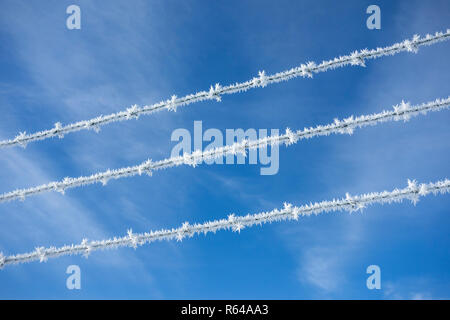 Frozen Barbed Wire Stock Photo
