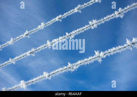 Frozen Barbed Wire Stock Photo