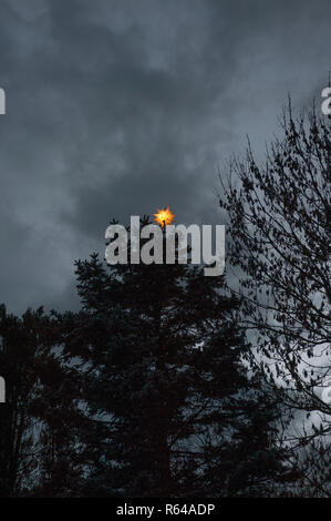 Luminous Christmas Star on Tree Stock Photo