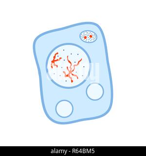 Bright colorful biology living cell, icon on white Stock Vector