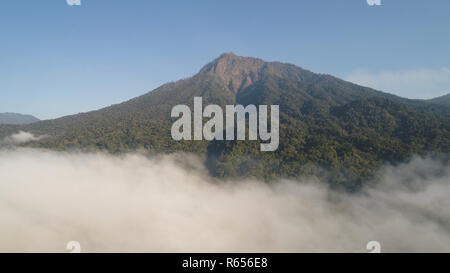 aerial view tropical forest covered clouds with lush vegetation and mountains, java island. tropical landscape, rainforest in mountainous area Indonesia. green, lush vegetation. Stock Photo